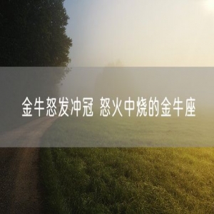 金牛怒发冲冠 怒火中烧的金牛座