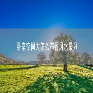 卧室空间大怎么布置风水最好
