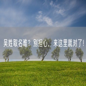 吴姓取名难？别担心，来这里就对了！