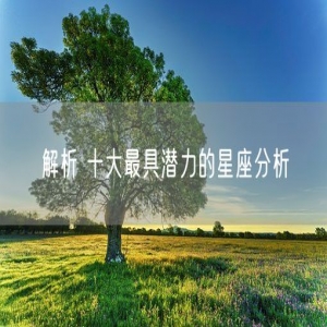 解析 十大最具潜力的星座分析