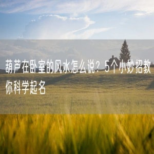 葫芦在卧室的风水怎么说？5个小妙招教你科学起名