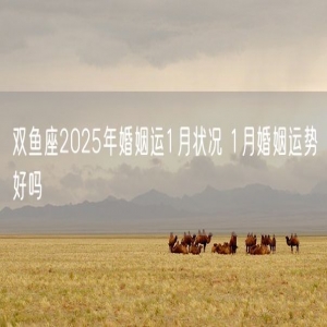 双鱼座2025年婚姻运1月状况 1月婚姻运势好吗