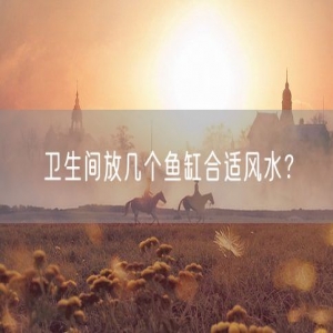 卫生间放几个鱼缸合适风水？
