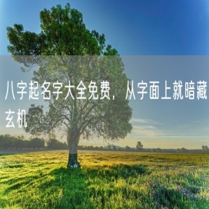 八字起名字大全免费，从字面上就暗藏玄机