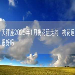天秤座2025年1月桃花运走向  桃花运很好吗
