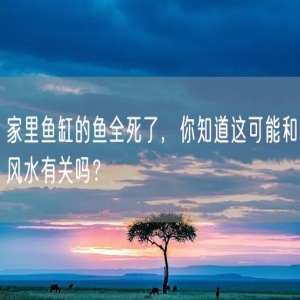 家里鱼缸的鱼全死了，你知道这可能和风水有关吗？