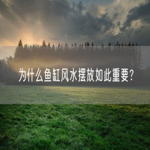 为什么鱼缸风水摆放如此重要？