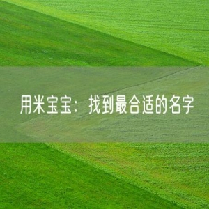 用米宝宝：找到最合适的名字