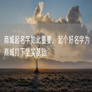商城起名字如此重要，起个好名字为商城打下坚实基础