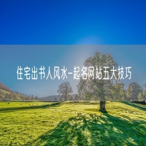 住宅出书人风水-起名网站五大技巧