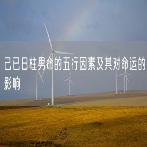己已日柱男命的五行因素及其对命运的影响