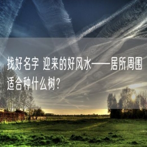 找好名字 迎来的好风水——居所周围适合种什么树？