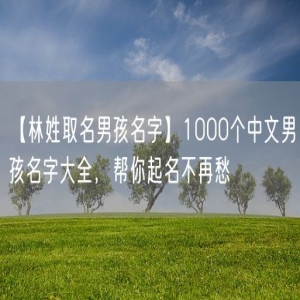 【林姓取名男孩名字】1000个中文男孩名字大全，帮你起名不再愁