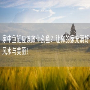 家中鱼缸应该放什么鱼？让你的家充满好风水与美丽！