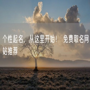 个性起名，从这里开始！ 免费取名网站推荐