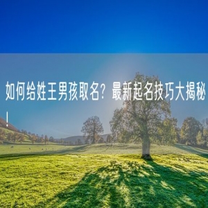 如何给姓王男孩取名？最新起名技巧大揭秘！