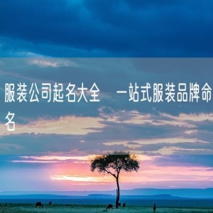 服装公司起名大全   一站式服装品牌命名