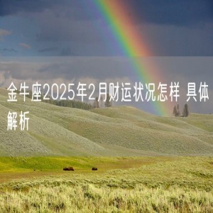 金牛座2025年2月财运状况怎样 具体解析