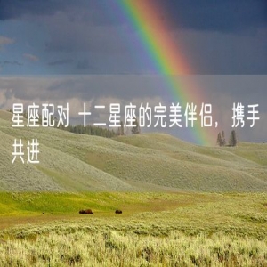 星座配对 十二星座的完美伴侣，携手共进