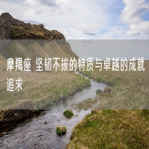摩羯座 坚韧不拔的特质与卓越的成就追求