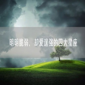 明明脆弱，却爱逞强的四大星座