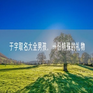 于字取名大全男孩，一份特殊的礼物