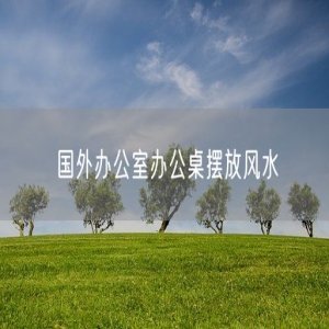 国外办公室办公桌摆放风水