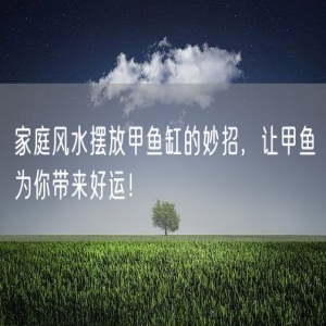 家庭风水摆放甲鱼缸的妙招，让甲鱼为你带来好运！