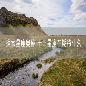 探索星座奥秘 十二星座在期待什么