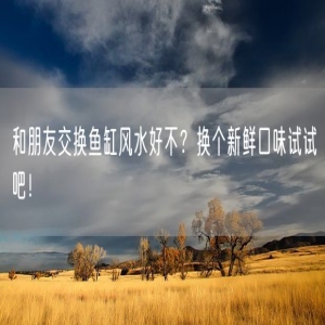 和朋友交换鱼缸风水好不？换个新鲜口味试试吧！
