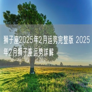 狮子座2025年2月运势完整版 2025年2月狮子座运势详解