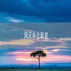 风云办公起名