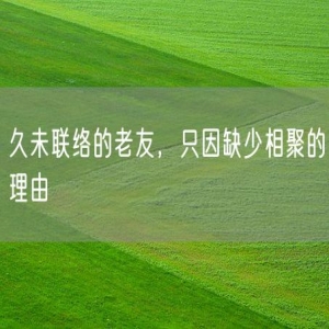 久未联络的老友，只因缺少相聚的理由