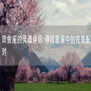双鱼座的灵魂伴侣 寻找星座中的完美配对