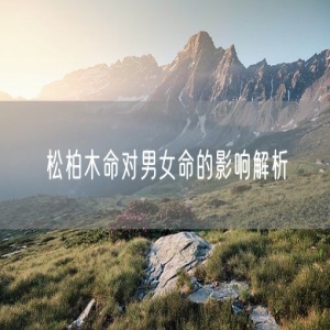 松柏木命对男女命的影响解析