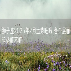 狮子座2025年2月运势旺吗 各个层面运势旺不旺