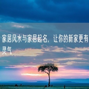 家居风水与家居起名，让你的新家更有灵气
