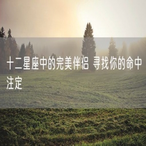 十二星座中的完美伴侣 寻找你的命中注定