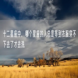 十二星座中，哪个星座的人总是等到衣服穿不下去了才去洗