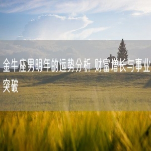 金牛座男明年的运势分析 财富增长与事业突破