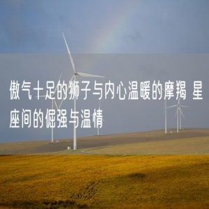 傲气十足的狮子与内心温暖的摩羯 星座间的倔强与温情