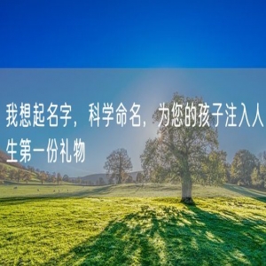 我想起名字，科学命名，为您的孩子注入人生第一份礼物