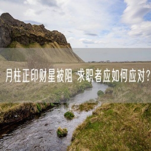 月柱正印财星被阻 求职者应如何应对？