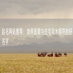 起名网站推荐：如何选取与住宅风水相符的好名字