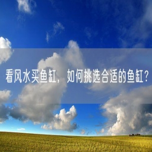 看风水买鱼缸，如何挑选合适的鱼缸？