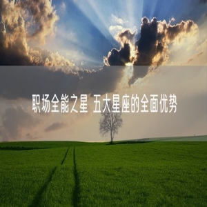 职场全能之星 五大星座的全面优势