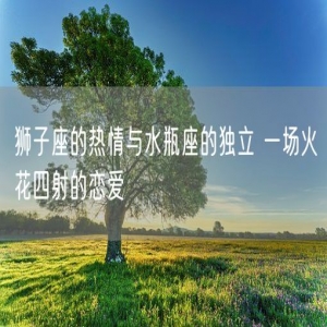 狮子座的热情与水瓶座的独立 一场火花四射的恋爱