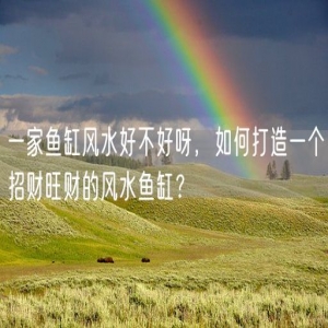 一家鱼缸风水好不好呀，如何打造一个招财旺财的风水鱼缸？