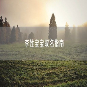 李姓宝宝取名指南