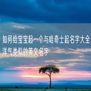 如何给宝宝起一个与哈奇士起名字大全洋气类似的英文名字